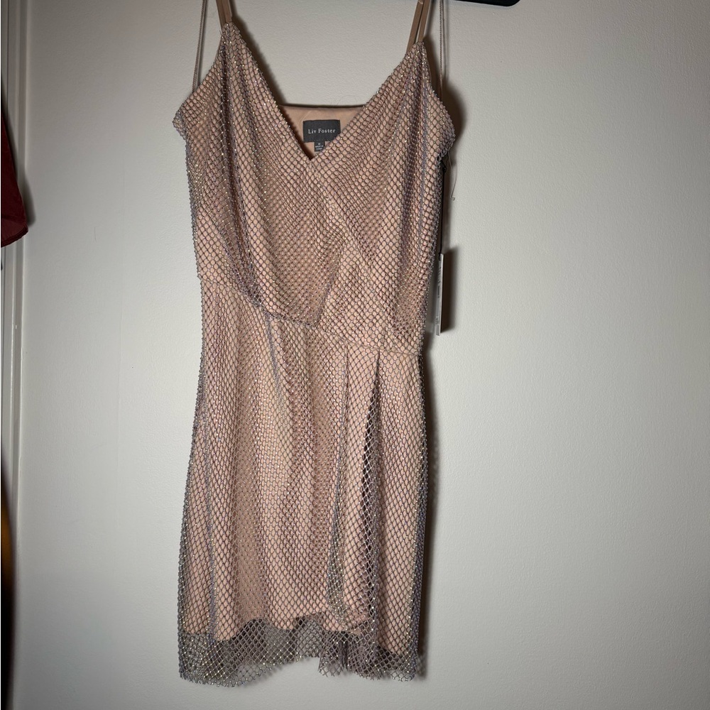 Liv Foster 
Rhinestone on netting dress. 
Size M.
Retail $350
Never worn.